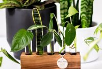 Hickory Plant Propagation Station | Crafted by Tradgard, LLC - Etsy Hickory Plant Propagation Station | Crafted by Tradgard, LLC - Etsy