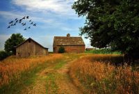 How the Farmhouse Went Modern and Could Be Here to Stay How the Farmhouse Went Modern and Could Be Here to Stay